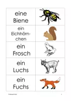 Vorschau - Spiele - Memo Tiere im Wald Bild Wort - Deckblatt