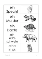 Vorschau - Spiele - Memo Tiere im Wald Bild Wort - Seite 2