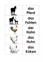 Vorschau - Spiele - Memo Haustiere Wort Bild Karten - Deckblatt