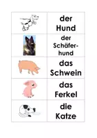 Vorschau - Spiele - Memo Haustiere Wort Bild Karten - Seite 1