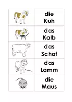 Vorschau - Spiele - Memo Haustiere Wort Bild Karten - Seite 2