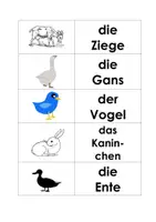 Vorschau - Spiele - Memo Haustiere Wort Bild Karten - Seite 3