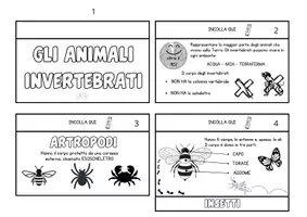 anteprima - Materiale di supporto/inclusione - La classificazione degli animali INVERTEBRATI - Pagina 2