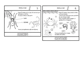 anteprima - Materiale di supporto/inclusione - La classificazione degli animali INVERTEBRATI - Pagina 3