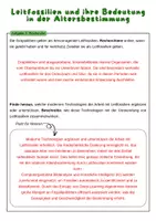 Vorschau - Arbeitsblätter - Leitfossilien und ihre Bedeutung in der Altersbestimmung | Unterrichtsreihe "Evolution" Biologie, 9./10. Klasse - Seite 2