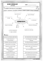 Vorschau - Arbeitsblätter - Horoskope - Arbeitsblatt - Seite 3