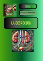 Vista previa - Hojas de trabajo - SITUACIÓN DE APRENDIZAJE: LA EXCRECIÓN - Portada