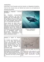 Vorschau - Arbeitsblätter - Mystery – Der rätselhafte Megalodon - Seite 2