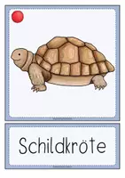 Vorschau - Fördermaterial/Inklusion - TIERE IM WINTER Wort- und Bildkarten - Seite 3