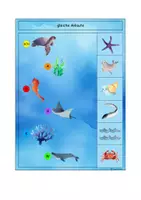 Vorschau - Stationenlernen - 🐬 Meer Unterwassser Klammerkarten schau genau Sommer - Seite 3