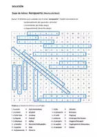 Vista previa - Juegos / Gamificación - Sopa de letras: Aeropuerto - página 1