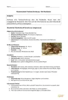 Vorschau - Klassenarbeiten - Klassenarbeit Tierbeschreibung Klasse 5/6 - Thema Rostkatze - Seite 1