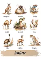 Vorschau - Poster - Bildungsposter - Zoo Safari, Vorschule, Kindergarten Bildungsaktivitäten - Seite 1