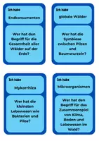 Vorschau - Spiele - Spiel: "Ich habe- Wer hat..?" Thema: Ökosystem | Unterrichtsreihe Ökosystem Wald, 7./8. Klasse, Biologie - Seite 2
