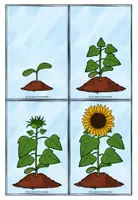 Vorschau - Poster - Legematerial für Lernentwicklungsgespräche und Selbsteinschätzung - Seite 3