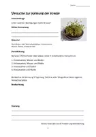 Vorschau - Arbeitsblätter - Keimungsversuche mit Kresse - Seite 1