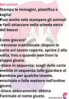 anteprima - Flashcard - FLASH CARDS MEMORY ANIMALI DEL BOSCO - Pagina 2