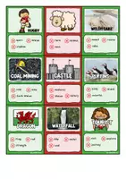 Vorschau - Spiele - Wales | Game | Don´t say it - Seite 2
