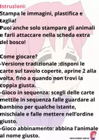 anteprima - Flashcard - FLASH CARDS MEMORY ANIMALI ARTICI - Pagina 2