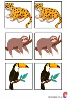 anteprima - Flashcard - FLASH CARDS MEMORY ANIMALI DELLA FORESTA - Pagina 3