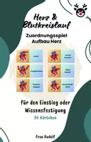 Vorschau - Spiele - Zuordnungsspiel Herz - Biologie - Anatomie - Deckblatt