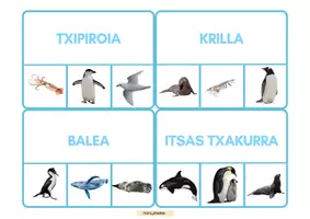 Vista previa - Unidades / Secuencias / Situaciones de Aprendizaje - ANTARTIKA - IDAZKETA eta IRAKURKETA ZER JARTZEN DU - página 1