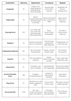 Vorschau - Arbeitsblätter - Kunststoffe Technik: Eigenschaften, Herstellung und Verwendung - Seite 3