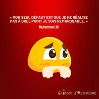 Aperçu - Affichage - Citation - Mon seul défaut ne pas reconnaitre que je suis - Page de couverture