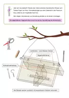Vorschau - Stundenentwürfe - Werkstück - Vogelfutter Häuschen > Holz > Fügetechniken - Dübel/Schraube/Leim/Nagel > inkl. Lösung - Seite 2