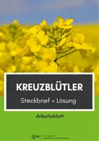 Vorschau - Arbeitsblätter - Kreuzblütler: Steckbrief mit Lösung - Deckblatt