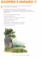 anteprima - Esercizi - La scatola dei tesori (Dossier pedagogico) - Pagina 1