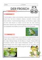 Vorschau - Text - Frosch - Informationen zum Frosch - Deckblatt