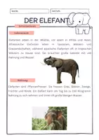 Vorschau - Merkblätter - Materialpaket - Informationstexte Tiere differenziert - Deckblatt
