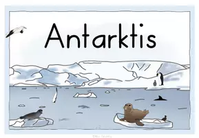 Vorschau - Bildkarten - Antarktis ❄️Themenplakat und Vorwissen aktivieren - Seite 2