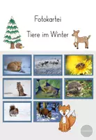 Vorschau - Poster - Fotokartei - Tiere im Winter Klasse 1 - Deckblatt