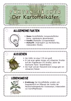 Vorschau - Arbeitsblätter - Der Kartoffelkäfer - Faktenfächer mit Quiz - Seite 3
