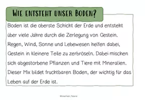 Vorschau - Arbeitsblätter - LERNTHEKE: ÖKOSYSTEM: DER BODEN (+Quiz) - Seite 2