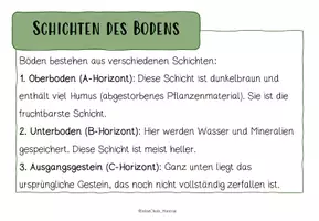 Vorschau - Arbeitsblätter - LERNTHEKE: ÖKOSYSTEM: DER BODEN (+Quiz) - Seite 3