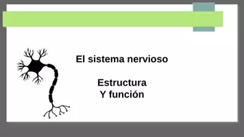 Vista previa - Presentaciones - El sistema nervioso Estructura Y función - Portada