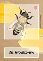 Vorschau - Unterrichtsreihen - Sachunterricht: Bienen - Sparpaket - Seite 3