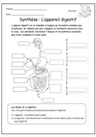 Aperçu - Préparation de séance / Séance complète - Leçon l'appareil digestif - Page de couverture
