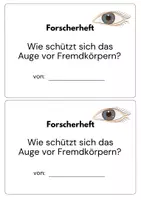 Vorschau - Arbeitsblätter - Schutzfunktionen des Auges - Forscherheft und Experimentierauftrag - Seite 2