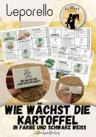 Vorschau - Arbeitsblätter - Leporello - Die Kartoffelpflanze – Vom Keimen bis zur Ernte - Deckblatt