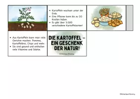 Vorschau - Arbeitsblätter - Leporello - Die Geschichte der Kartoffel - Seite 2