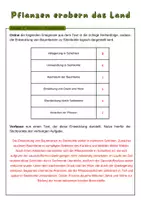 Vorschau - Arbeitsblätter - Pflanzen erobern das Land | Unterrichtsreihe "Evolution", Biologie 9./10. Klasse - Seite 2
