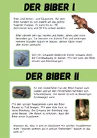 Vorschau - Arbeitsblätter - Infotext, Kartei und Arbeitsblatt - Der Biber - Seite 3