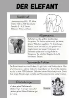 Vorschau - Arbeitsblätter - Infotext, Kartei und Arbeitsblatt - Der Elefant / Elefanten - Seite 2