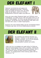 Vorschau - Arbeitsblätter - Infotext, Kartei und Arbeitsblatt - Der Elefant / Elefanten - Seite 3