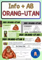 Vorschau - Arbeitsblätter - Infotext, Kartei und Arbeitsblatt - Der Orang-Utan - Deckblatt
