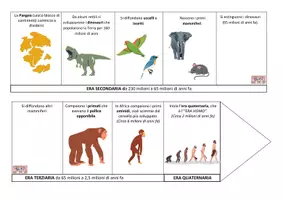 anteprima - Materiale di supporto/inclusione - LINEA DEL TEMPO ERE GEOLOGICHE - Pagina 2